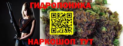 МДПВ Партизанск