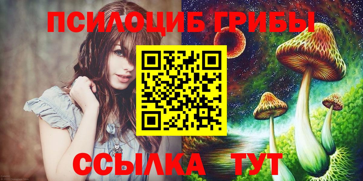 Псилоцибиновые грибы Psilocybe  Вход с VPN  Серпухов  Псилоцибиновые грибы ЛСД 